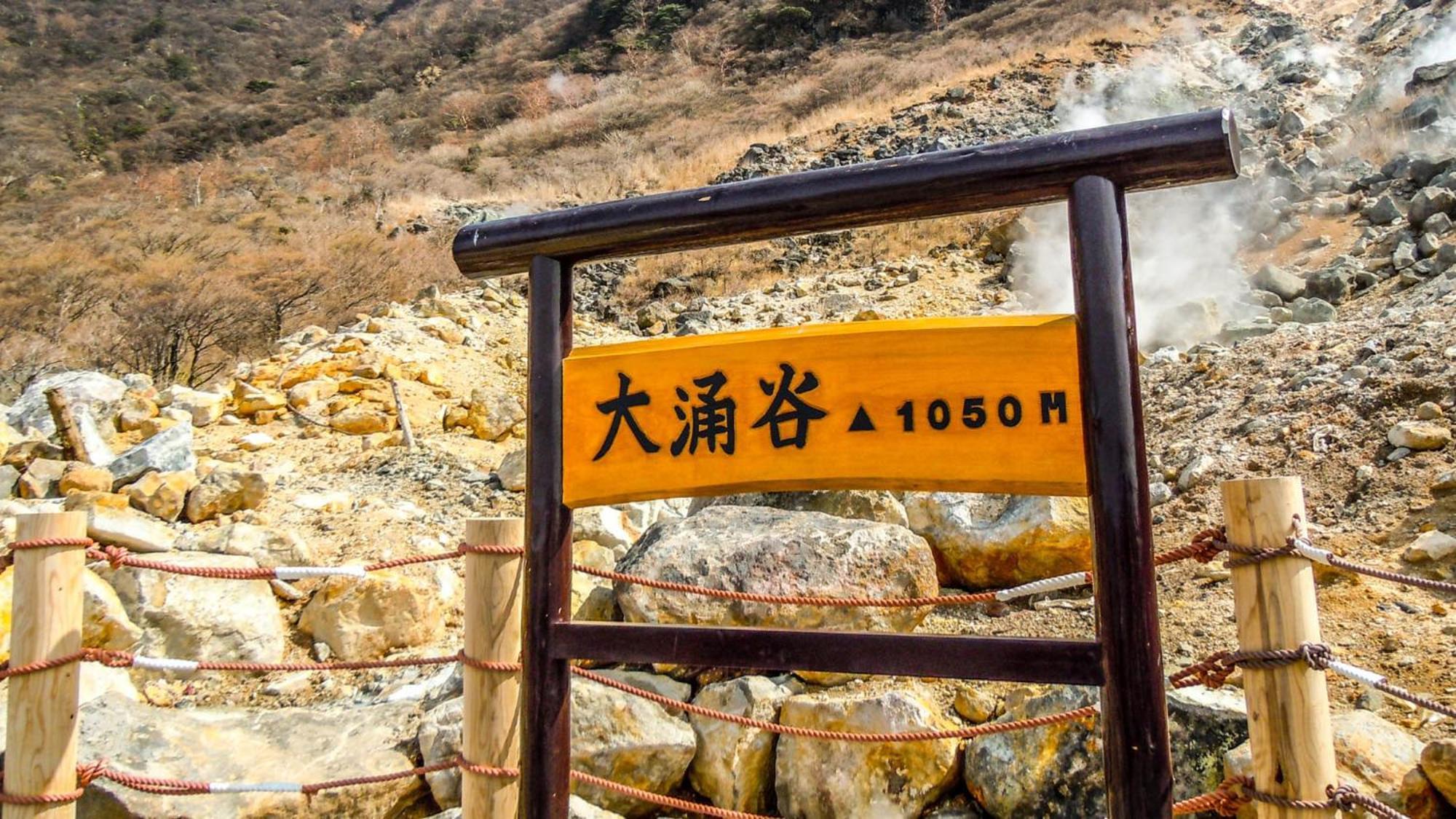Toyoko Inn Gotemba Ekimae Екстериор снимка
